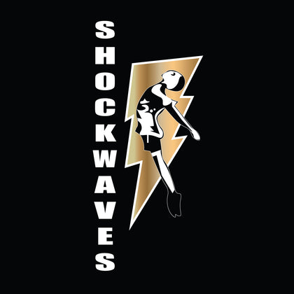 Shockwaves Stage School