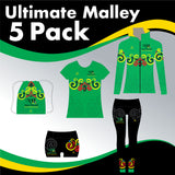 NIAMH HATCHELL 5 GARMENT ULTIMATE IRISH DANCE PACK